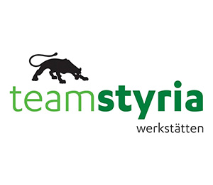 team_styria